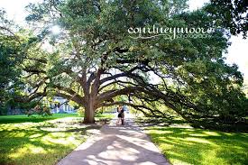 One Of My All Time Fav Pics Texas A M Engagement Session Courtneymoorephotography Aggie Wedding Engagement Pictures Engagement Photographer