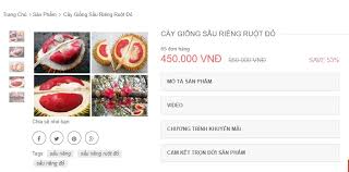 Mua ở đâu được hàng chuẩn ngon? Sáº§u Rieng Ruá»™t Ä'á» Hot Ráº§n Ráº§n Ä'Æ°á»£c Chá»‹ Em SÄƒn Lung Du Gia Chat Vov Vn