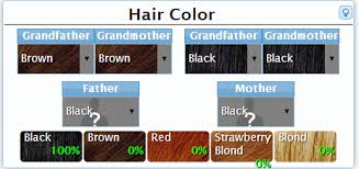 Hair Color Genetics Inheritance
