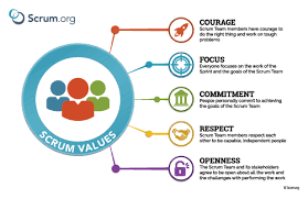 11 scrum values poster thumbnail agile scrum org chart