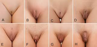 Big labia minora and big labia majora