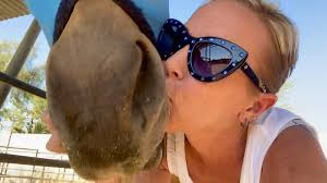 Happy 4th of July from the Herd!