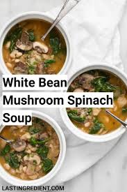 If you plan on eating great northern beans as a meal you can add other dried herbs and fresh vegetables to the beans. 340 Great Northern White Bean Recipes Ideas In 2021 Recipes Bean Recipes White Bean Recipes