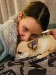 Zeus the yorkie turns one year old