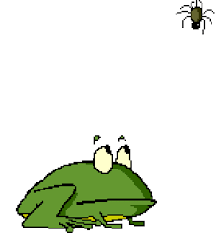 This is funnier than it should be. Tiere Animais Animaux Gif Find On Gifer