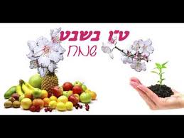 Người mang tuổi này thường điềm tĩnh và rất kiên định nhưng rất bướng bỉnh. 6xxrwy1whkekim