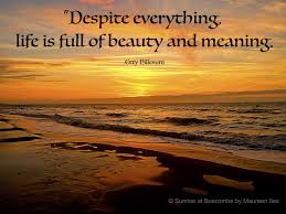 Despite Everything Fotor Life Meant To Be Life Quotes