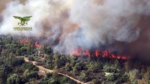 #puresardinia #civico8 #sardinia #sassari #cocktailbar #bartenders #cocktailstyle #mixology #drinksup #natale #xmas #xmasiscoming🎄 #merrychristmas. Waldbrand Auf Sardinien Strand Und Hotels Geraumt