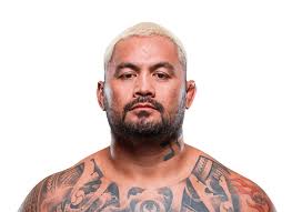 Mark Hunt (Heavyweight) MMA Profile