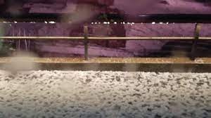 ¿lluvia en cdmx, ¡en enero!? Wnwvhauc7fsqkm