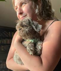 Hi! I'm new to this group. I recently joined because we often have random  dogs show up looking to find their way back home.