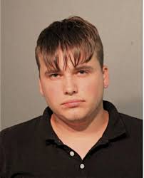 ᐅ Illinois Criminal Records 2009-2026