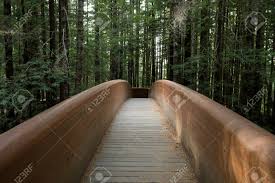 Redwood lady bird johnson grove. Hiking Trails At The Lady Bird Johnson Grove Trail In California Redwoods National Park And State Parks Stock Photo Picture And Royalty Free Image Image 114868688