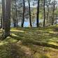 Garden Wellness: Forest Bathing with Fru Molnar