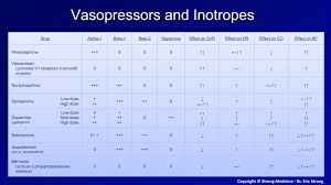 Image result for Vasopressor