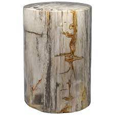 Check spelling or type a new query. Petrified Wood Stool Or Low Pedestal From Indonesia For Sale At 1stdibs