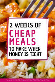11 Must Know Budget Meal Planning Tips 2 Weeks Of Easy Meals With Recipes Families For Financial Freedom Cheap Meals To Make Quick Cheap Meals Cheap Dinners