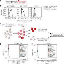 We have now placed twitpic in an archived state. Slc19a1 Transports Immunoreactive Cyclic Dinucleotides Nature