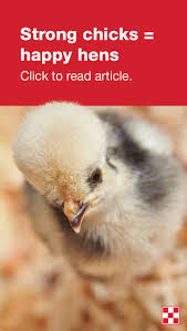 Pin Auf Chick Nutrition Care