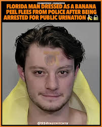 Florida man in a banana costume tried to give the cops the slip after he  was caught publicly urinating. The Key West Police Department received a  complaint "about a white male in