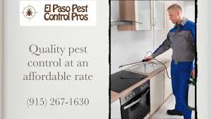 04/26/2021 what kind of location is this?: El Paso Pest Control Pros