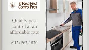 Bulwark exterminating, r4 green houston, llc, the restoration attics, bugs or us termite and pest control, llc, lone star bed bug heaters, inc., dba texas state pest management. El Paso Pest Control Pros