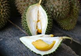 People take durian by mouth for fever, swelling, high blood pressure, jaundice, malaria, parasites, and to increase sexual desire. Durian The King Of Stink With Photo Video Indoneo