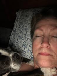 Tips for getting Boston Terriers to sleep in