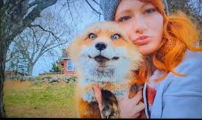 Precious foxes 🦊🤎