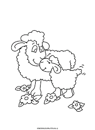 Met behulp van analoge en digitale tools. Schaap Tekening