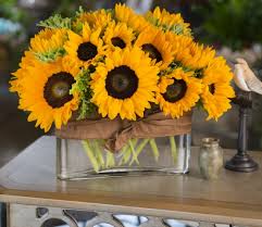 Cara menanam bunga matahari | bunga matahari merupakan bunga eksotis yang cukup terkenal, tanaman ini memiliki postur yang tinggi serta memiliki jika anda lebih memilih menanam bunga matahari didalam pot maka pastikan bahwa pot tersebut kuat dan memiliki ukuran yang cukup besar. Cara Menanam Bunga Matahari Dari Biji Bibitbunga Com