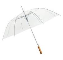 Clear Rain Umbrella - 54" Across - Rip-Resistant - Light Strong Metal Shaft  and Ribs - Manual Open - Resin Handle - Perfect for 2 People