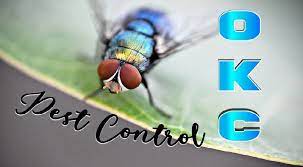 They offer effective pest & weed control solutions. The 6 Best Options For Pest Control In Okc 2021