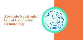Check spelling or type a new query. Download Absolute Neutrophil Count Calculator Hematology Free For Android Absolute Neutrophil Count Calculator Hematology Apk Download Steprimo Com