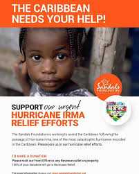 Visit https://sandalsfoundation.org