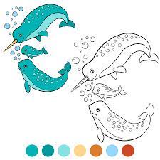 coloriage narval mere pere et bebe narvals nager sourire clip art libres de droits vecteurs illustration image 63051811 boucles d&#x00027;oreilles en perles grenat