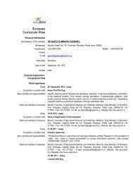 Jaka idea za tym stoi? Curriculum Vitae Europass Download