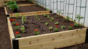 How to keep critters out of your garden. Learn How To Keep Pests Out Of Your Garden