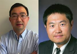 Optogenetic Control of the Canonical Wnt Signaling Pathway During Xenopus  laevis Embryonic Development