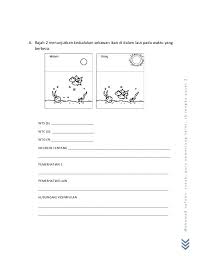 Soalan Ramalan Sains Upsr 2014 6 638 Jpg 638 826 Science Boarding Pass