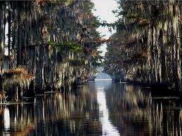 10 Water Vacation Spots In Texas 2020 These texas glamping spots bring luxury to the outdoors.see more. 10 water vacation spots in texas 2020