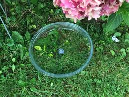 Vogel Oder Igeltranke Einfach Herstellen Frag Mutti Igel Einfach Tipps Und Tricks