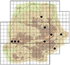 Image result for Helinus integrifolius