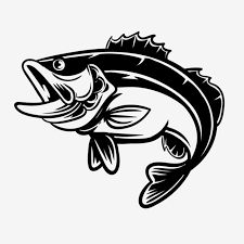 Download gambar catfish ikan lele vector coreldraw cdr hd png kali ini andmin akan bagikan gambar iklan lele atau catfish dalam bentuk vector coreldraw cdr semoga gambar ini bermanfaat untuk anda gambar ini adalah hasil redesign menggunkan coreldraw bukan hanya gambar hasil tracing. Bass Png Vektoren Clipart Und Psd Zum Kostenlosen Download Pngtree