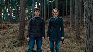 Harry potter and the deathly hallows: Harry Potter Visit Dean Wye