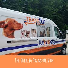 If you are interested in adopting please follow the steps below. Atlanta Based Furkids Disrupts Traditional Animal Adoption Process With Unique Transfur Program Furkids Georgia S Animal Rescue No Kill Shelter