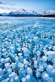 我知道這些照片100 沒有修過 但是我還是感到非常難以置信 teepr national geographic photo contest frozen bubbles natural phenomena