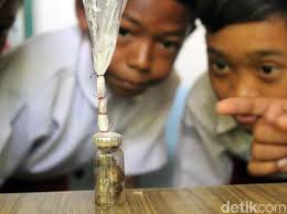 Lihat video lainnya di video.kaskus.co.id. Sosok Tuyul Bermuka Seram Di Ciamis Ternyata Mirip Jimat Kuman Thong