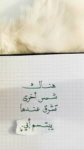 Pin By Ali Ferrari On Arabic Quotes In 2020 Love Picture Quotes Love Smile Quotes Dad Quotes