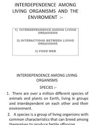 Symbiosis Worksheet Answer Key Interdependence Among Living Organisms And The Enviroment In 2020 Personal Pronouns Worksheets Worksheets Answer Keys